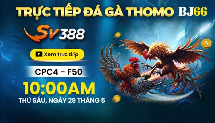 Banner đề xuất 1 — BJ66