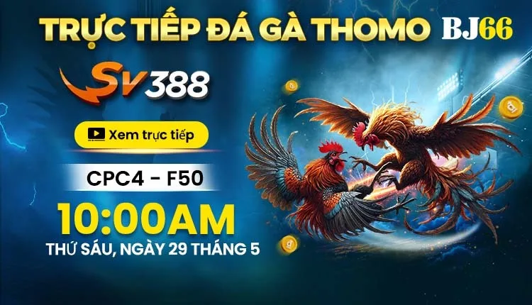 Banner đề xuất 3 — BJ66
